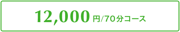 12,000円/70分コース